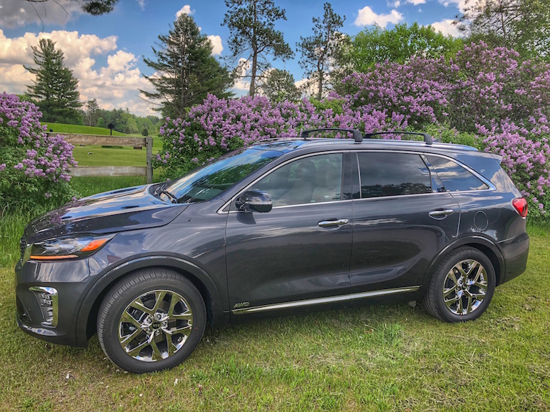 Kia Sorento In Front Of Lavender Bushes 