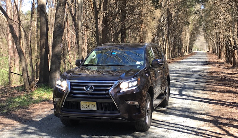 Lexus Gx460 Driving In The Forest