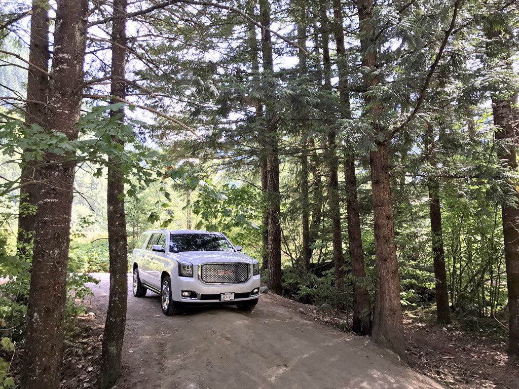 White Gmc Suburban In The Woods 