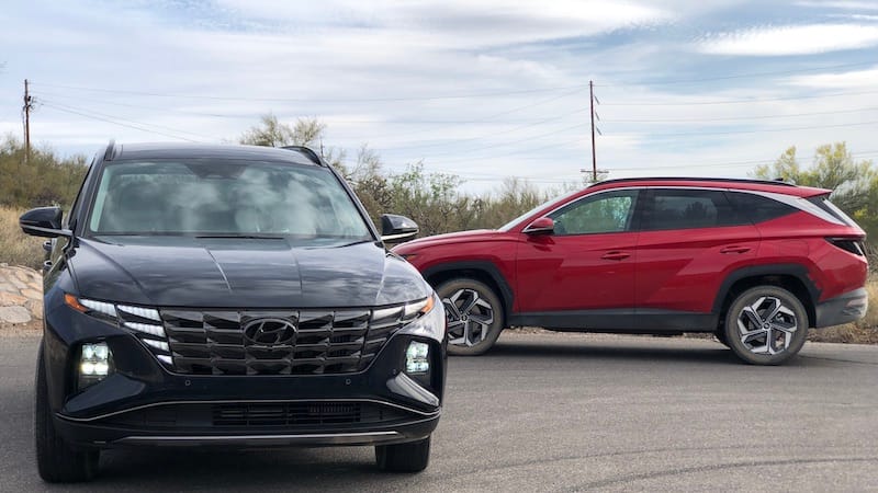 2022 Hyundai Tucson Is Among The Best Cars For Dogs