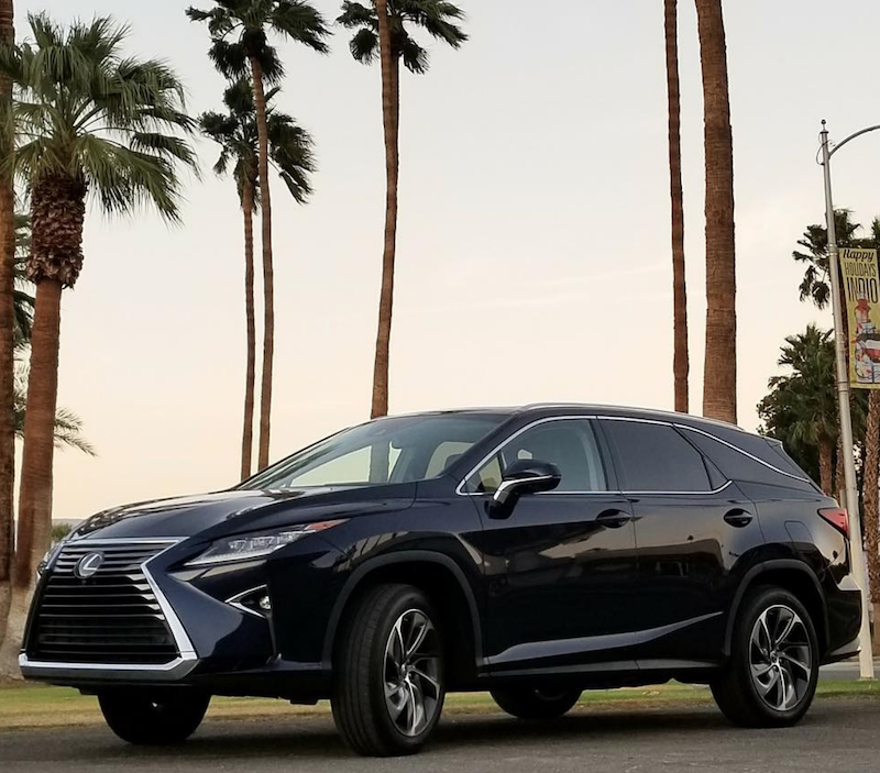 Lexus Rx350L Nestled Among The Palm Trees 